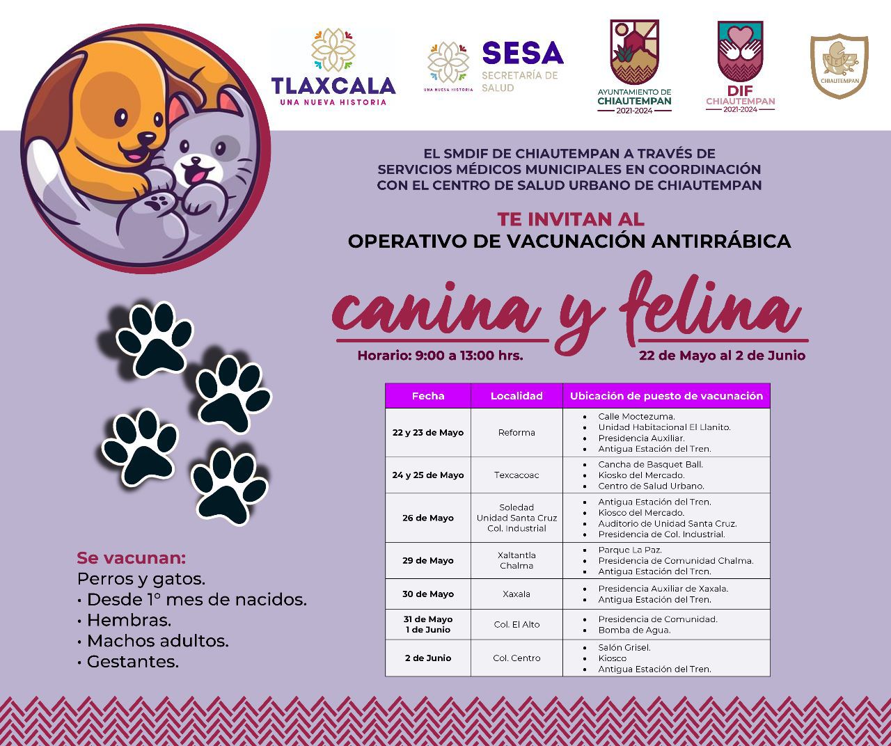 En Chiautempan inicia operativo de vacunación antirrábica felina y canina
